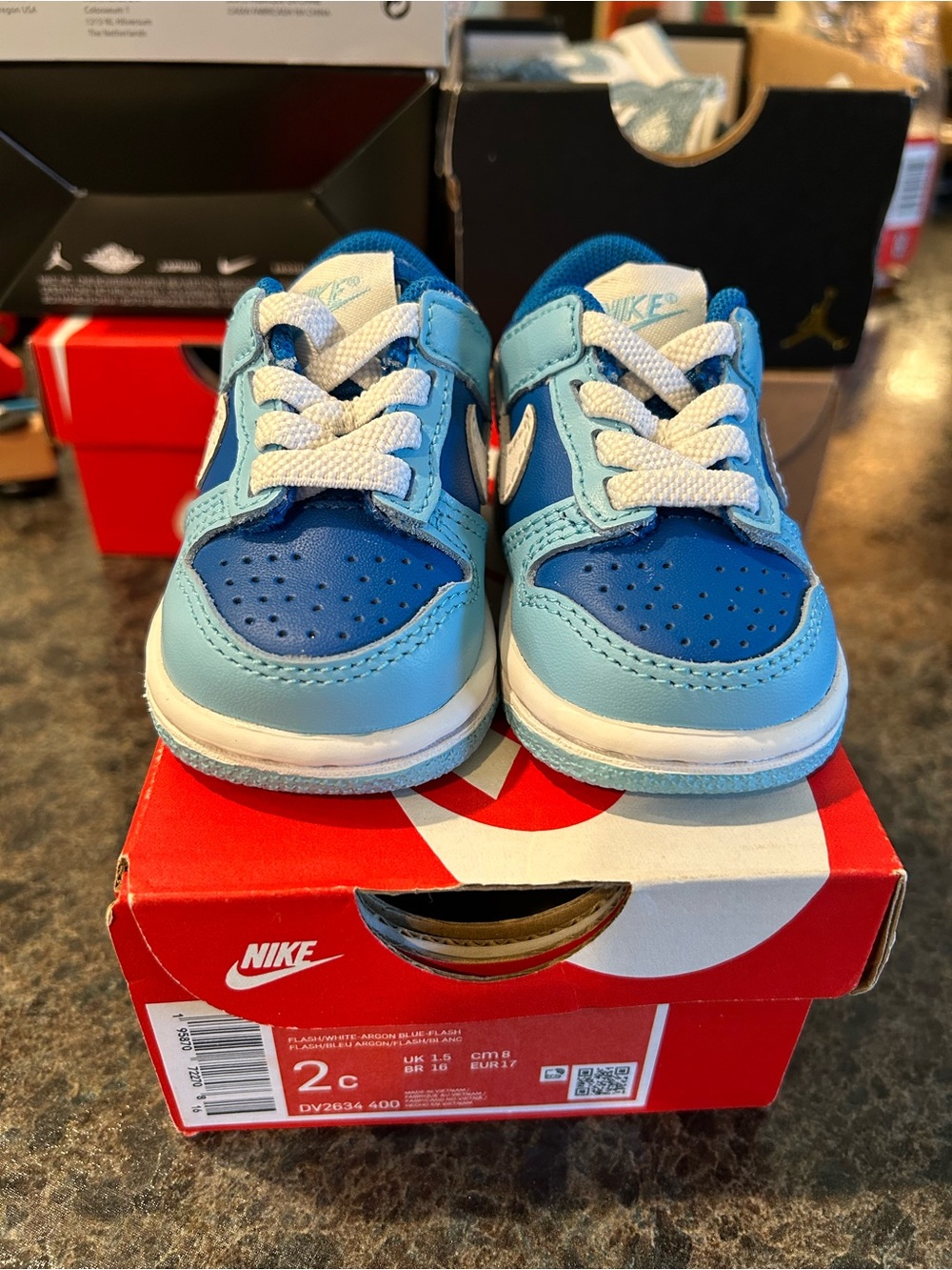 Nike dunk low tdv Argon